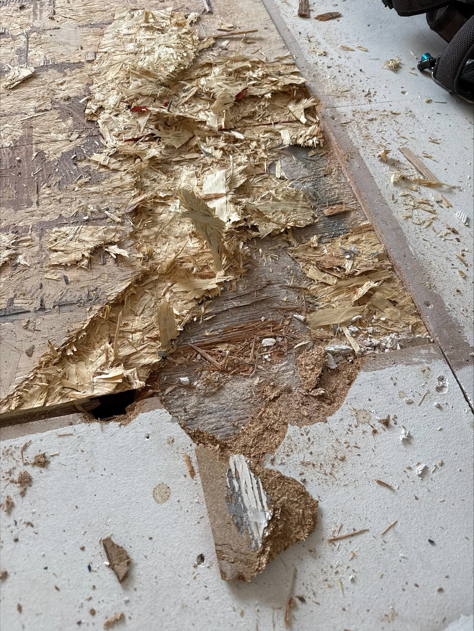 processed-DD4F58C8-9E71-4F5B-9B8B-D517367B58C7